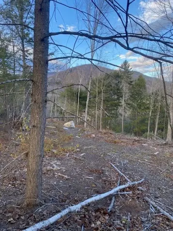 12-12-10-8 Jacob Hall Farm Road Rumney NH 03266