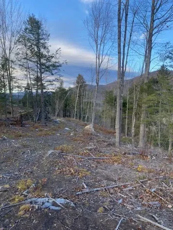 12-12-10-8 Jacob Hall Farm Road Rumney NH 03266