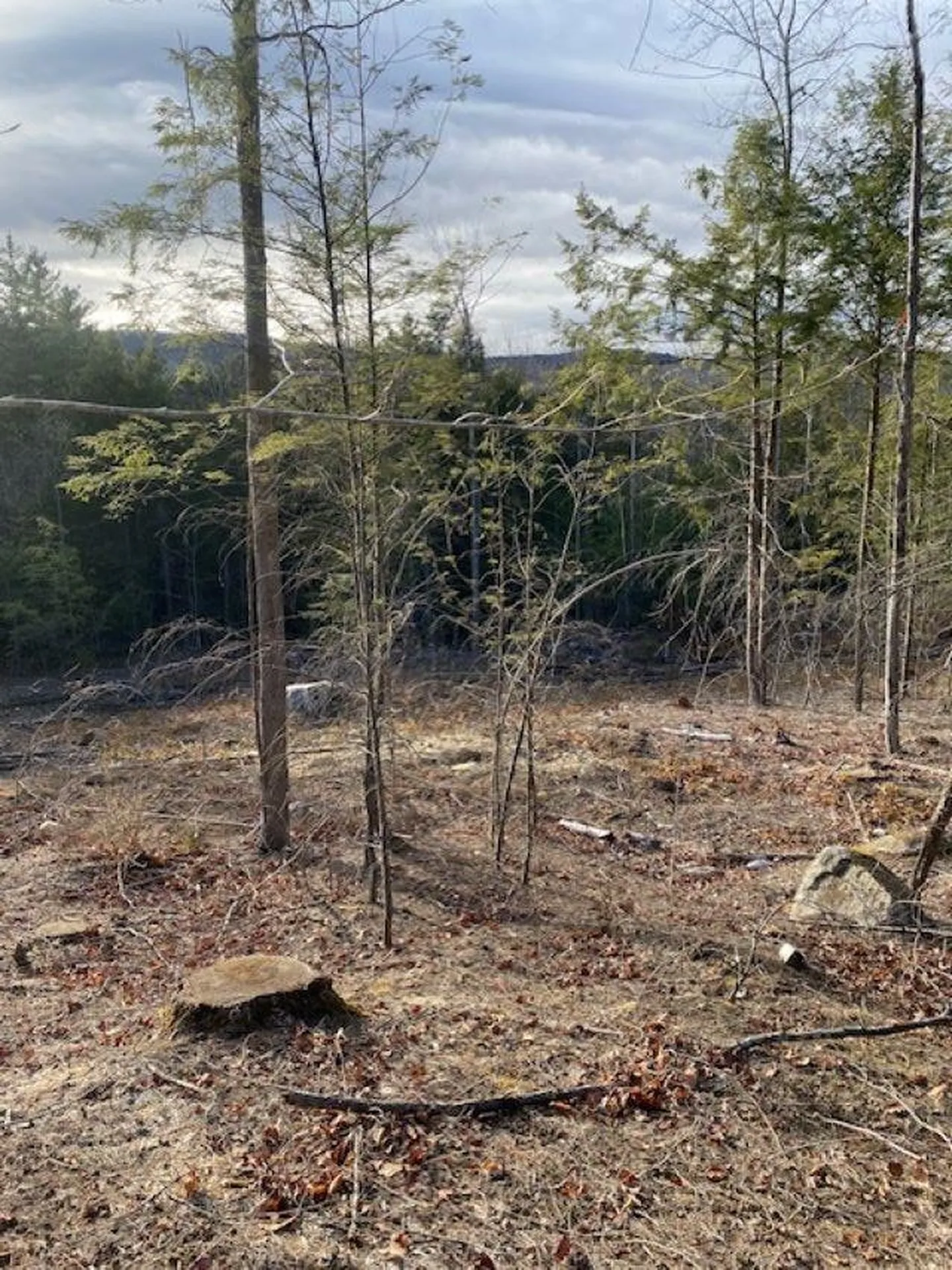 12-12-10-12 Jacob Hall Farm Road Rumney NH 03266