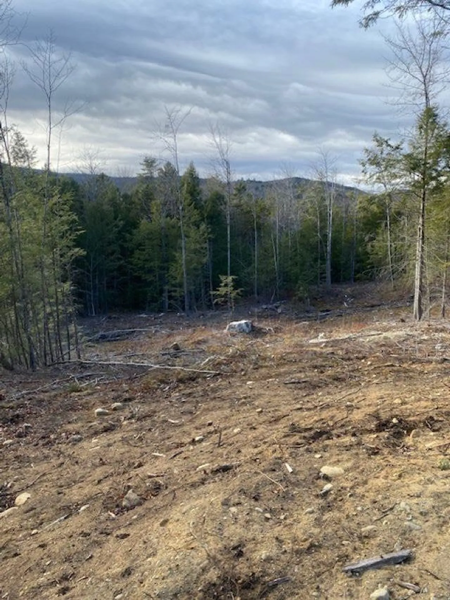 12-12-10-12 Jacob Hall Farm Road Rumney NH 03266