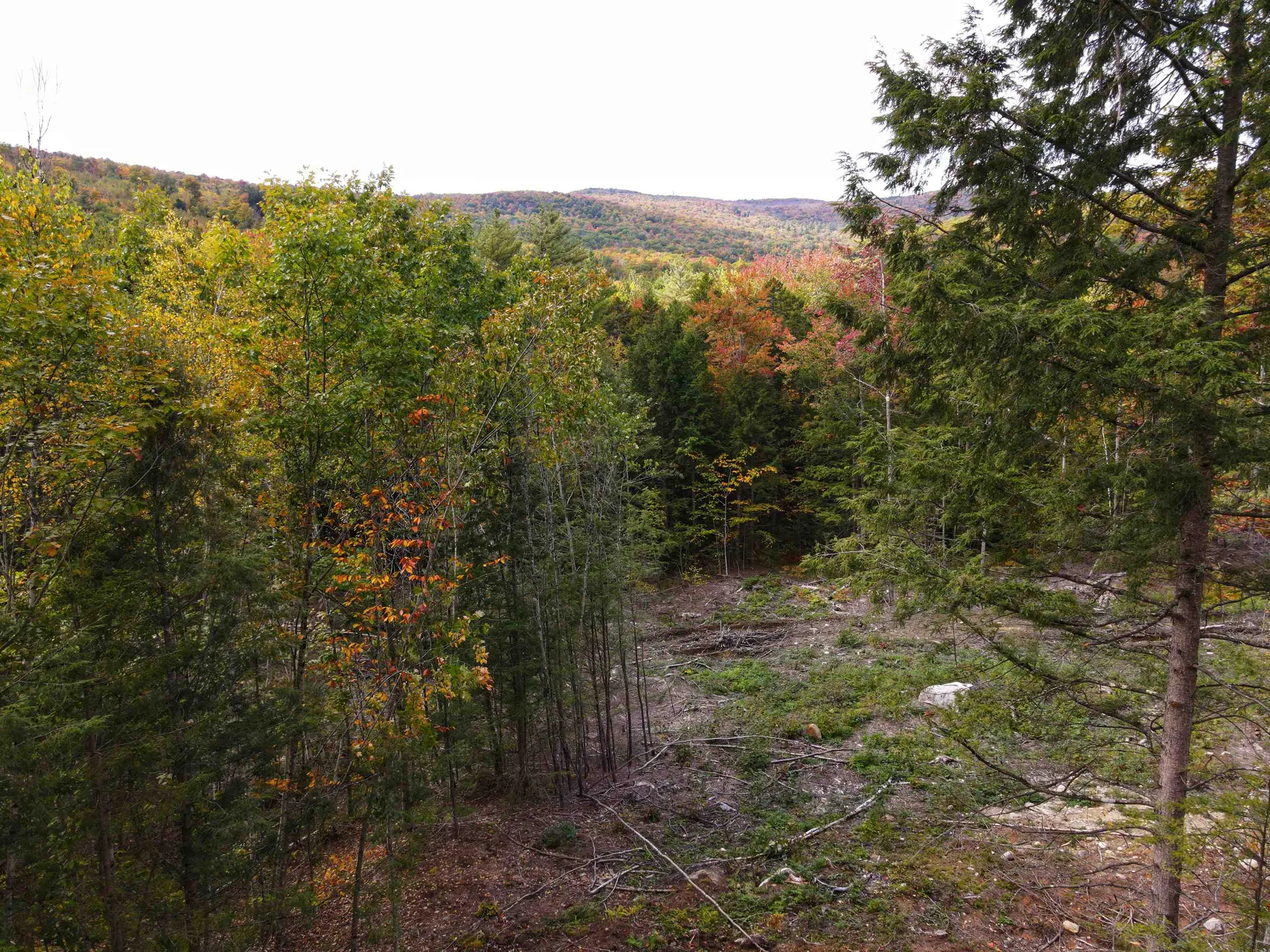 12-12-10-12 Jacob Hall Farm Road Rumney NH 03266