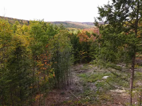 12-12-10-12 Jacob Hall Farm Road Rumney NH 03266