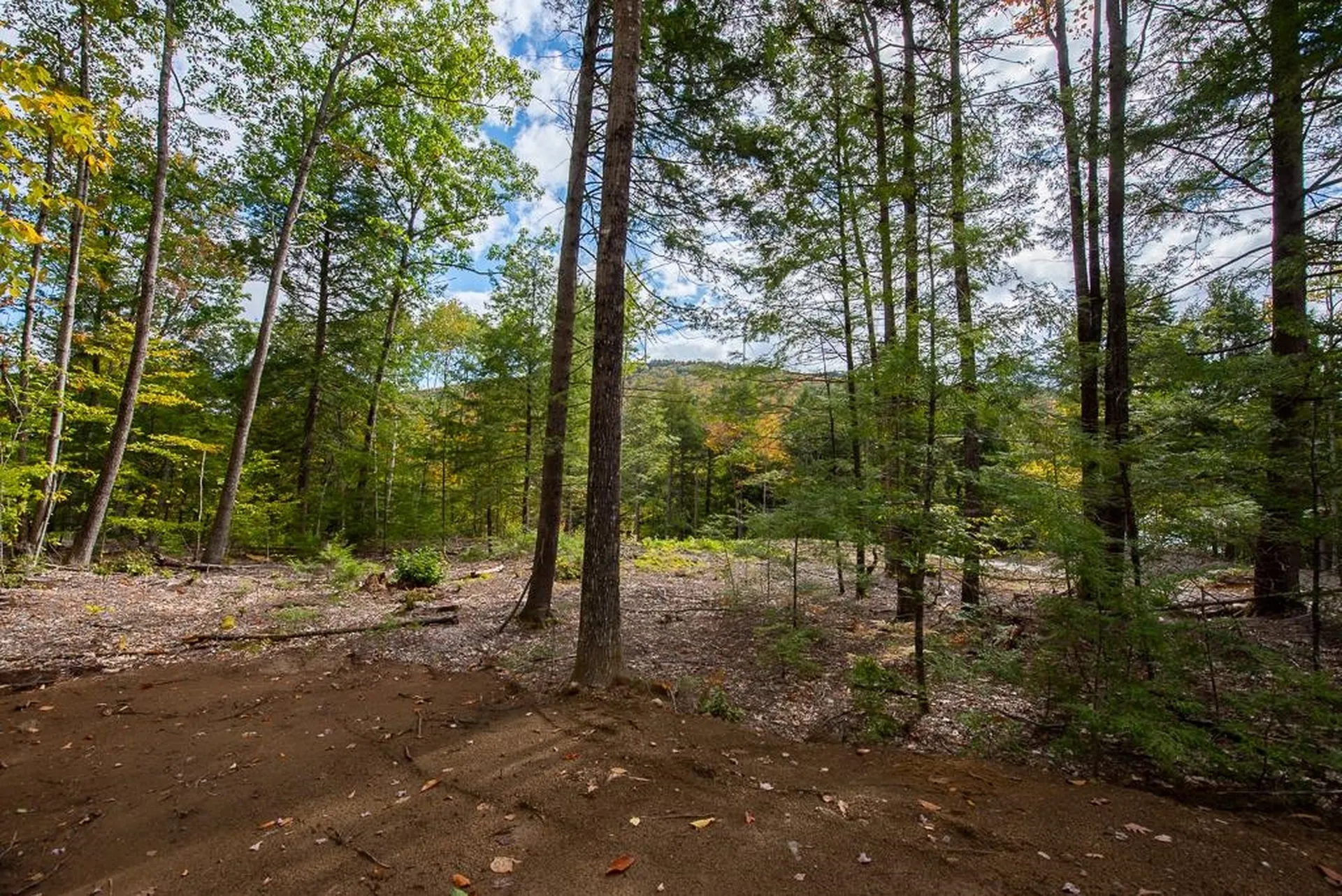 12-12-10-4 Jacob Hall Farm Road Rumney NH 03266