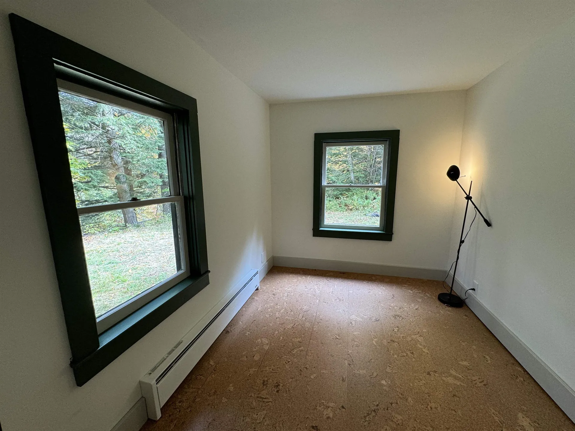 14 Black Piece Road Wardsboro VT 05355