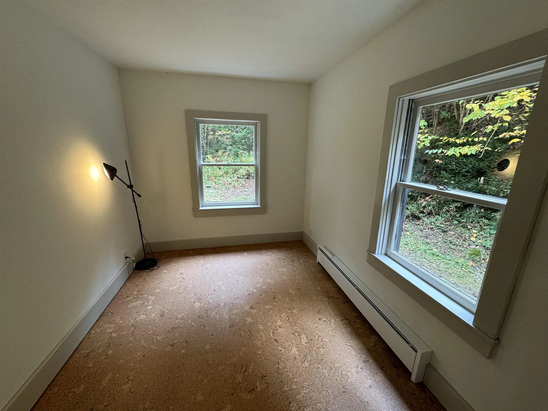 14 Black Piece Road Wardsboro VT 05355