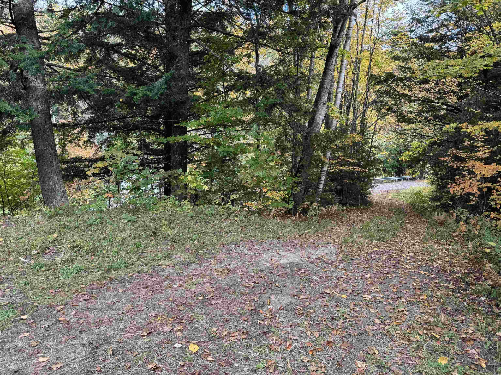 14 Black Piece Road Wardsboro VT 05355