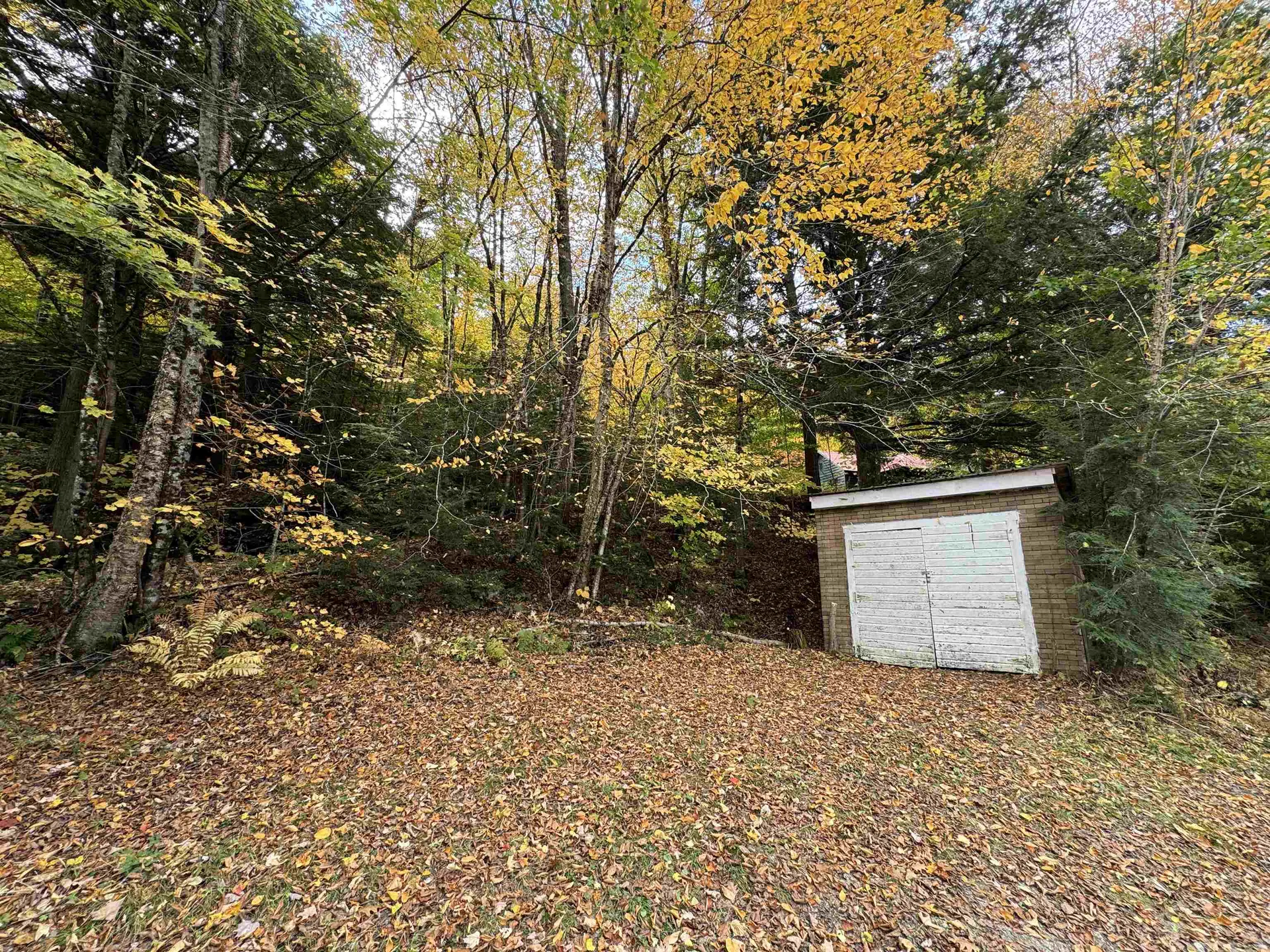 14 Black Piece Road Wardsboro VT 05355