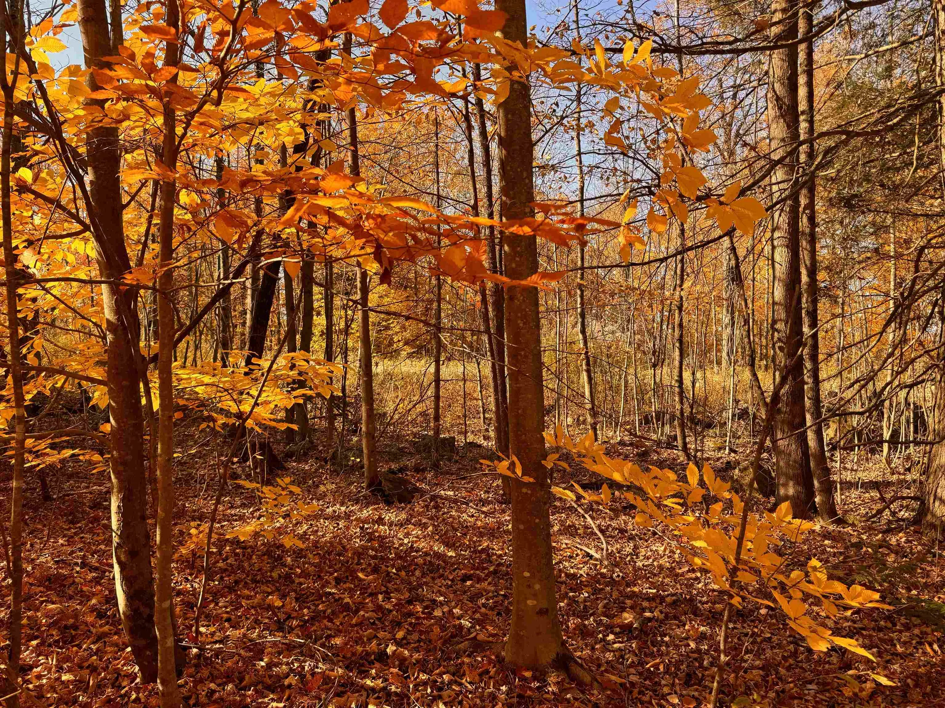 1262 Reservoir Road Berkshire VT 05450