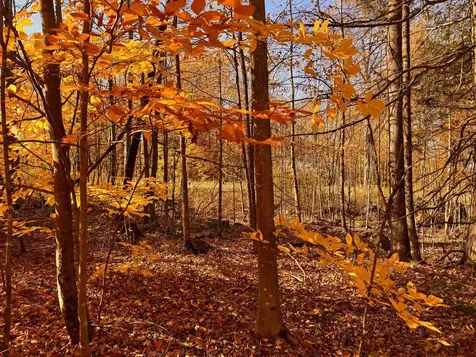 1262 Reservoir Road Berkshire VT 05450