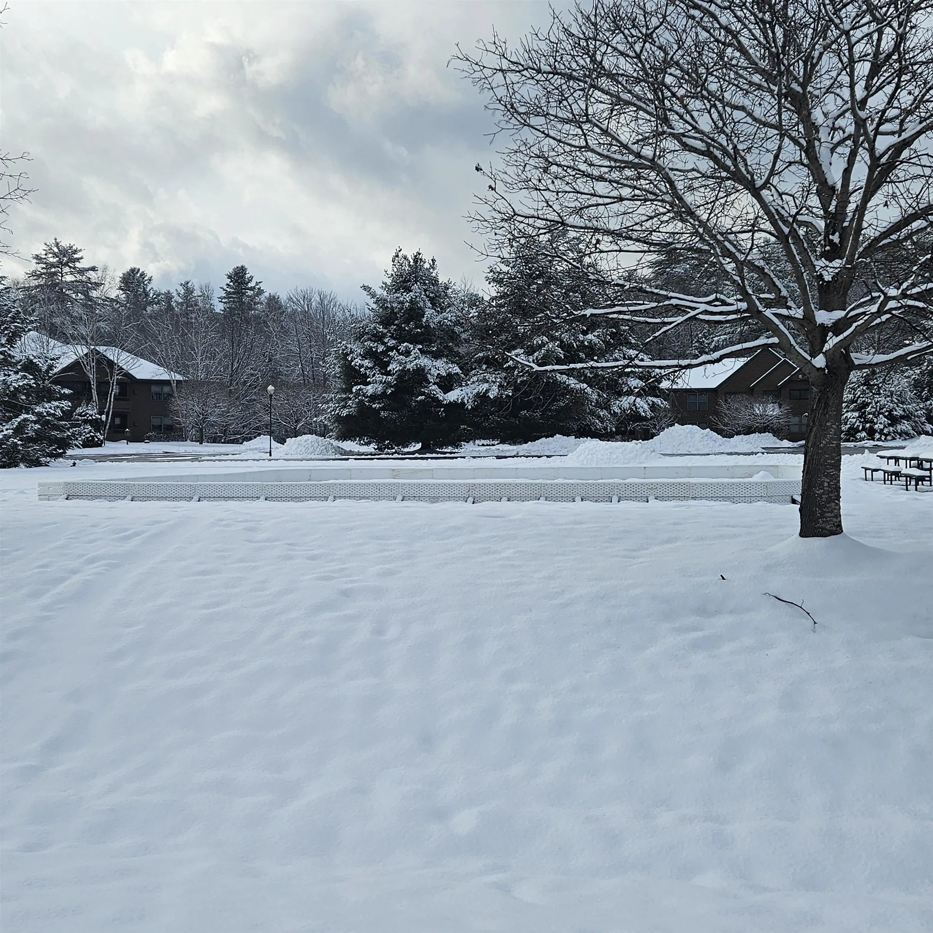 164 Deer Park Drive Woodstock NH 03262