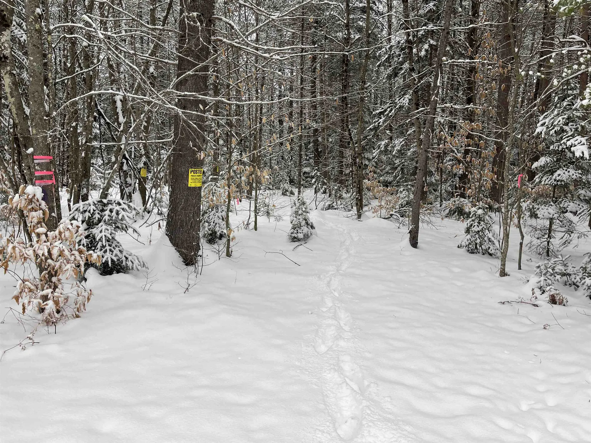 0 Harmon Notch Road Brownfield ME 04010