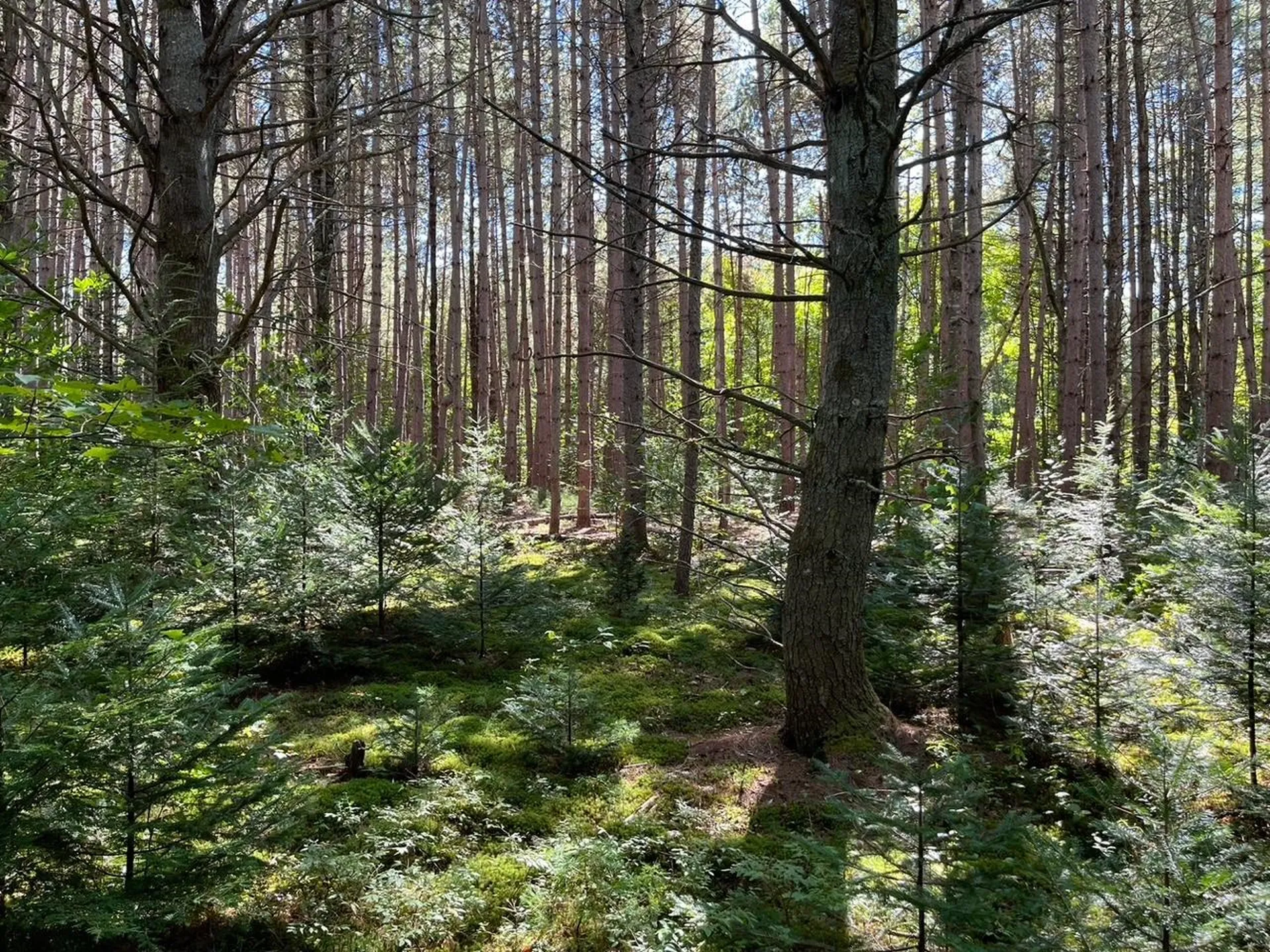 0 Harmon Notch Road Brownfield ME 04010