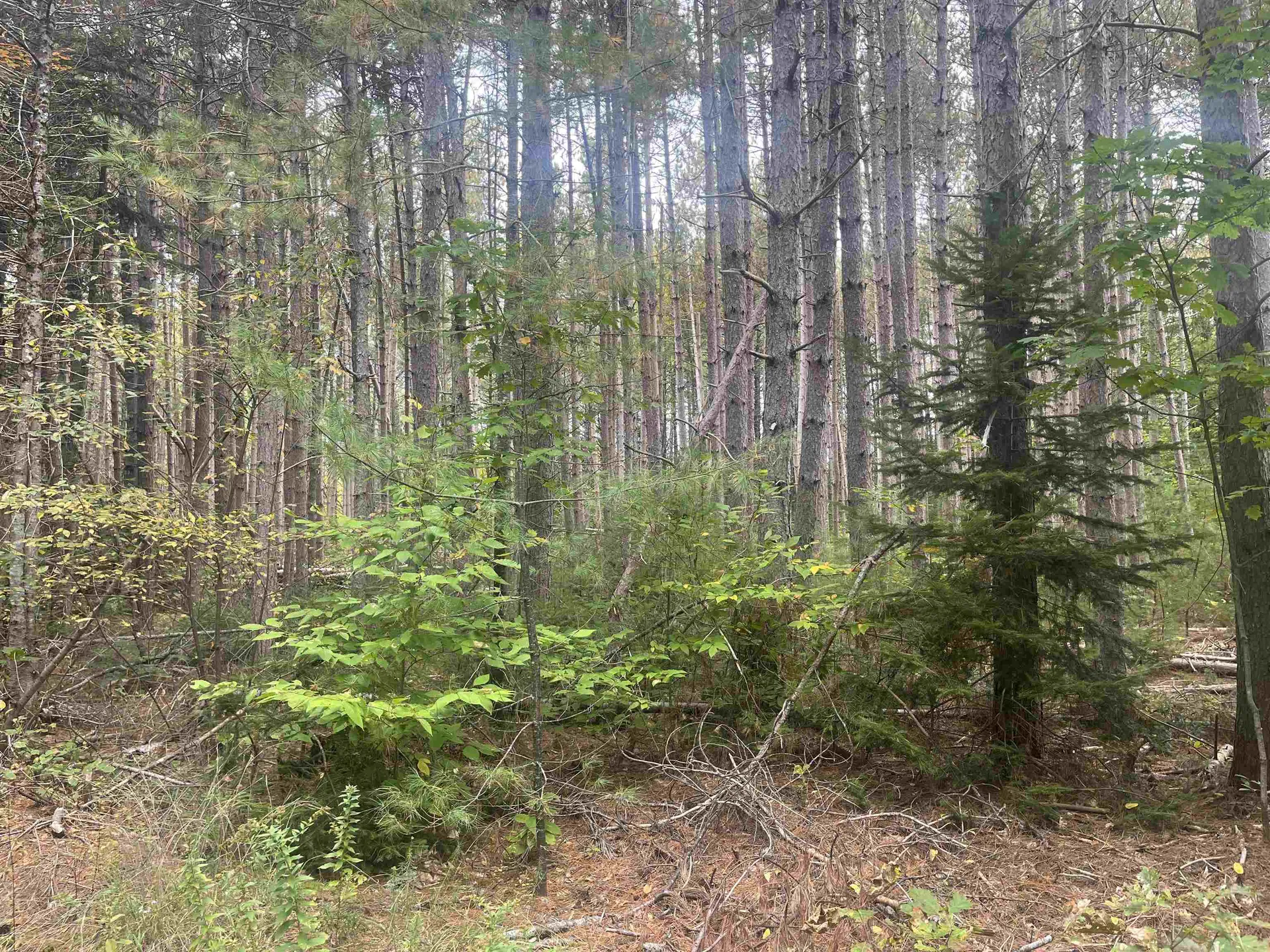 0 Harmon Notch Road Brownfield ME 04010