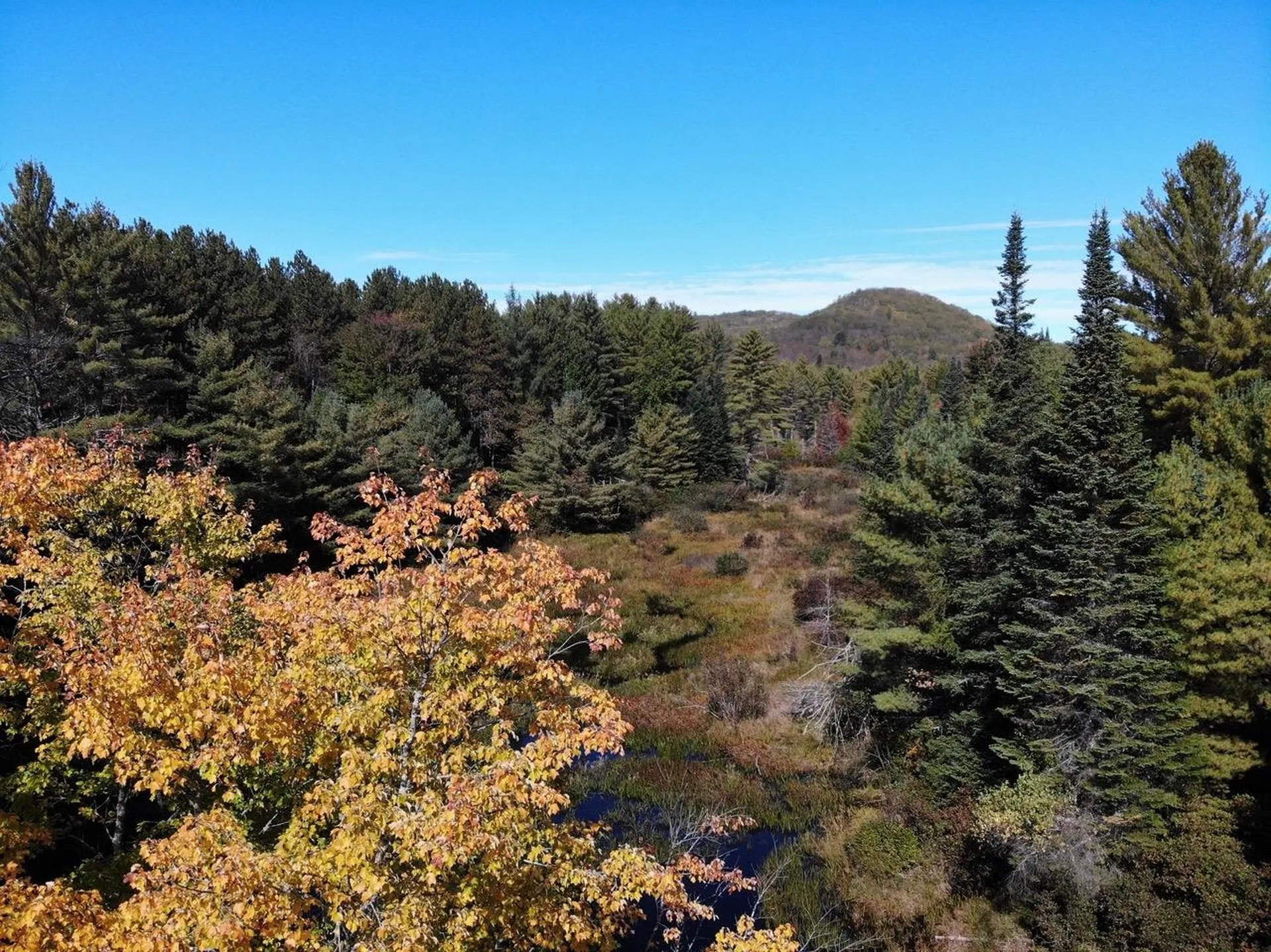 0 Harmon Notch Road Brownfield ME 04010