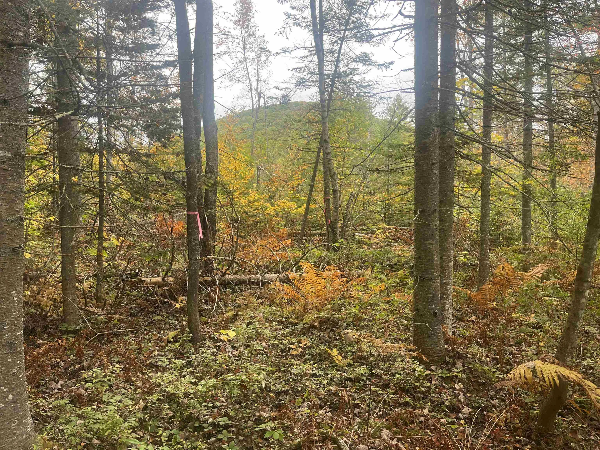 0 Harmon Notch Road Brownfield ME 04010