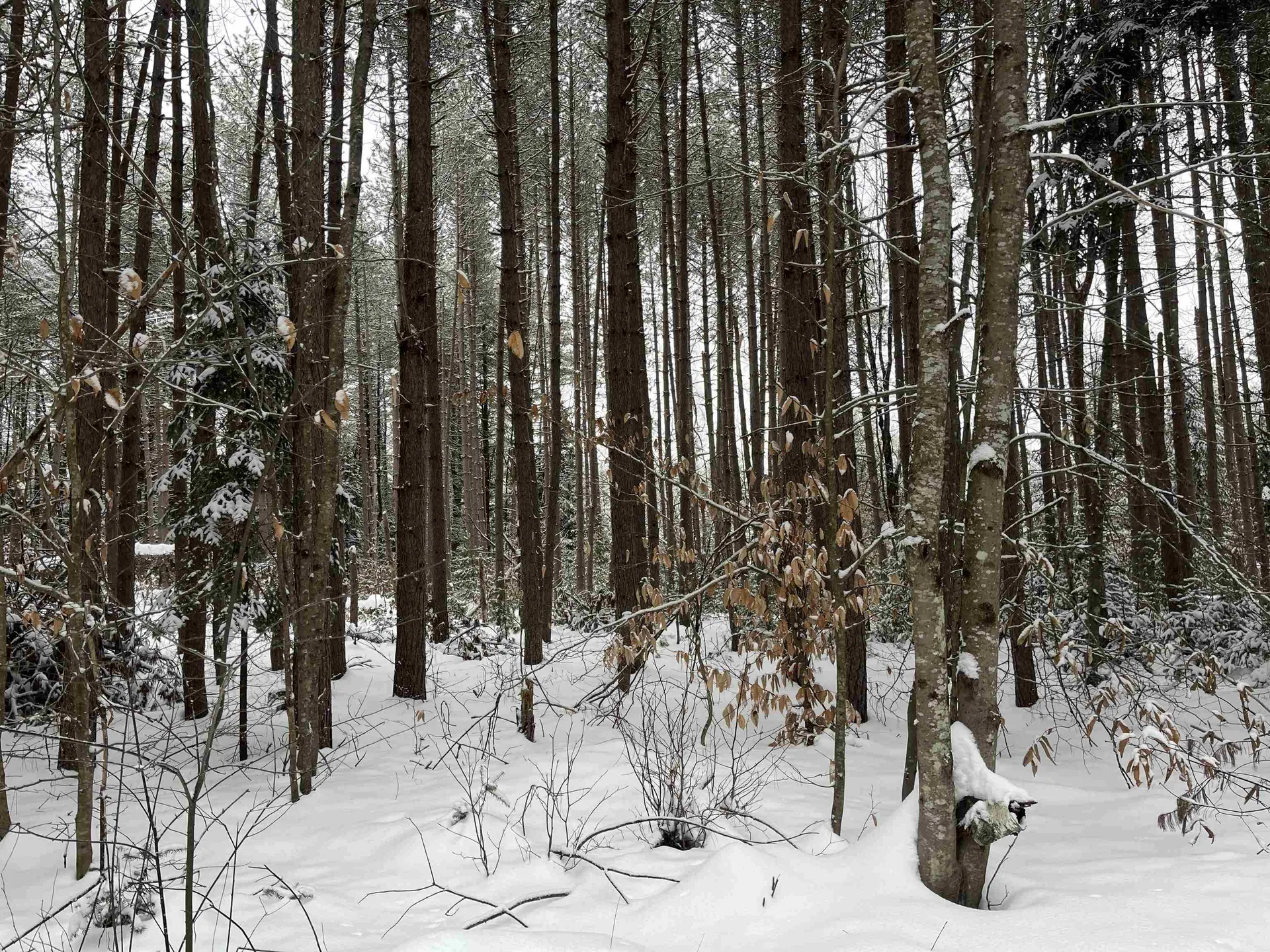 0 Harmon Notch Road Brownfield ME 04010