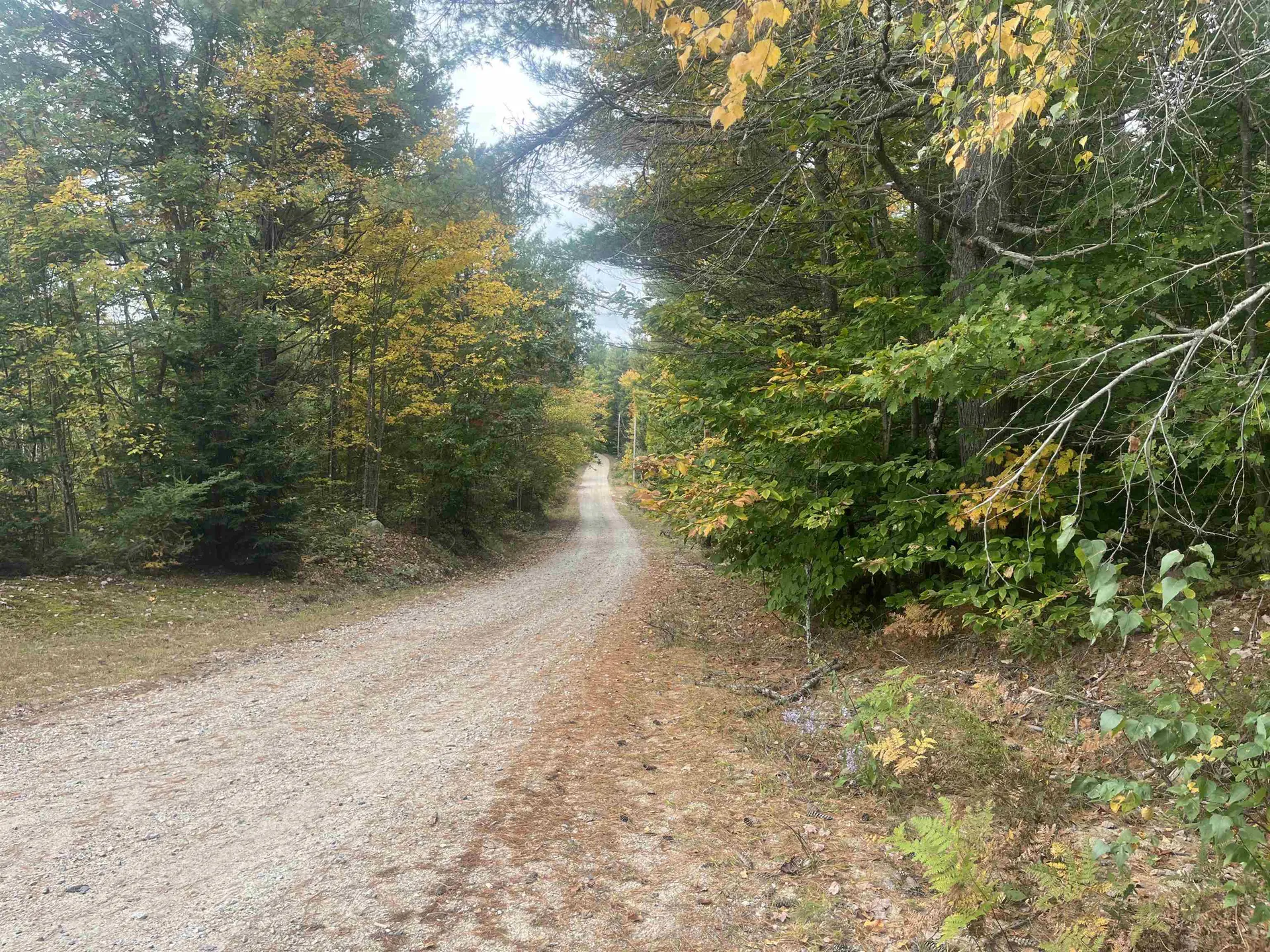 0 Harmon Notch Road Brownfield ME 04010