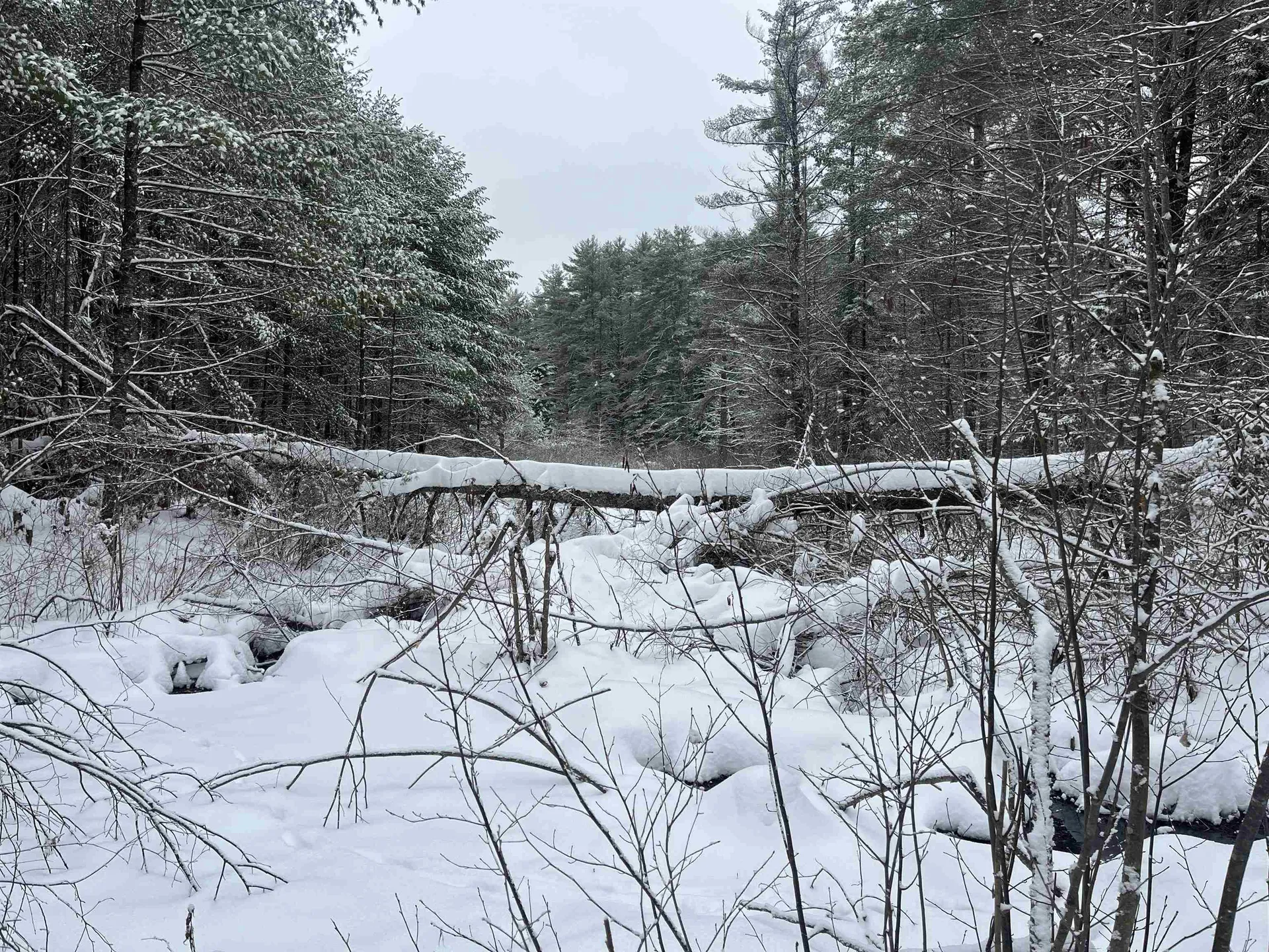 0 Harmon Notch Road Brownfield ME 04010