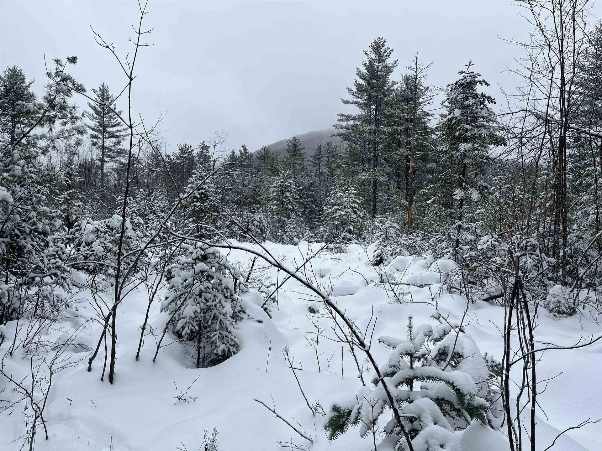 0 Harmon Notch Road Brownfield ME 04010