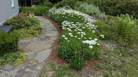 23 Wildwood Drive Grantham NH 03753