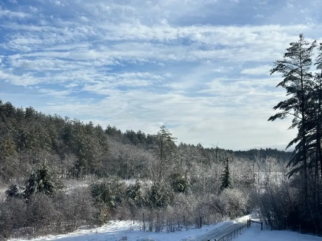 55 Sheldon Road Danbury NH 03230