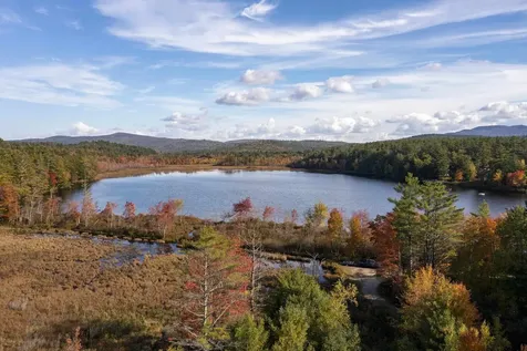 55 Sheldon Road Danbury NH 03230