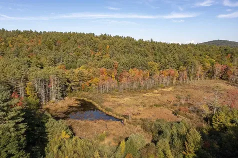 55 Sheldon Road Danbury NH 03230