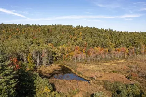 55 Sheldon Road Danbury NH 03230