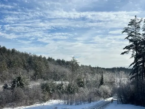 55 Sheldon Road Danbury NH 03230