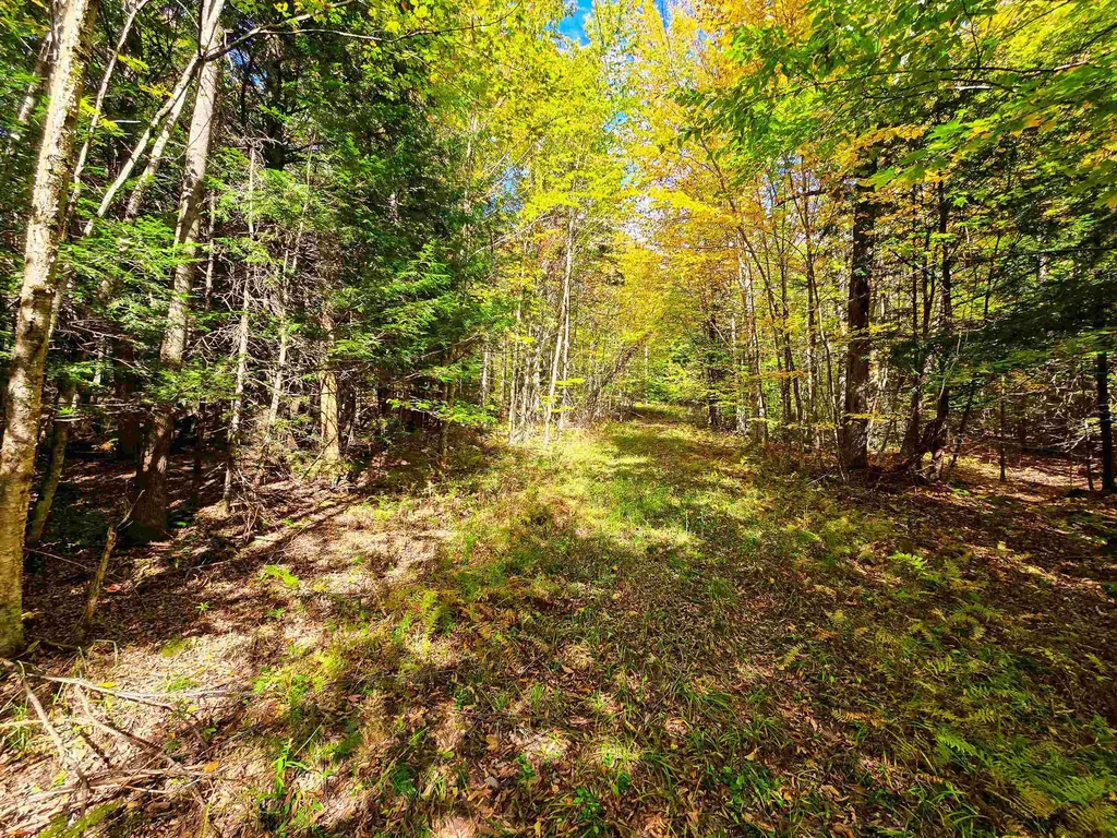 425 Symonds Mill Road Elmore VT 05680