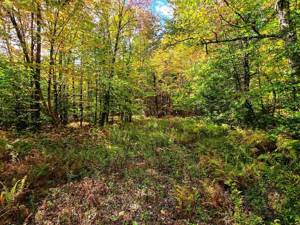 425 Symonds Mill Road Elmore VT 05680