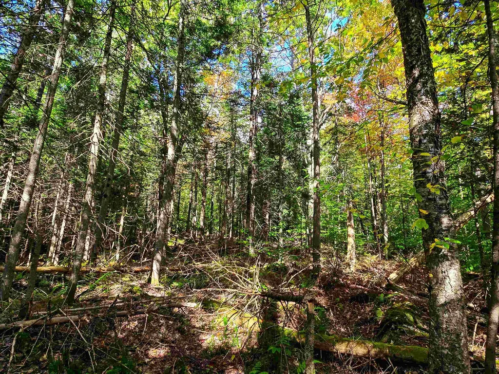 425 Symonds Mill Road Elmore VT 05680