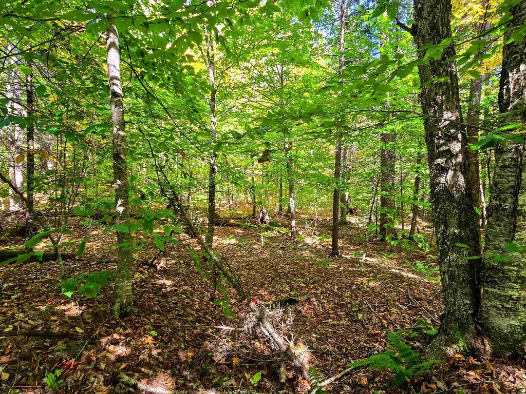 425 Symonds Mill Road Elmore VT 05680