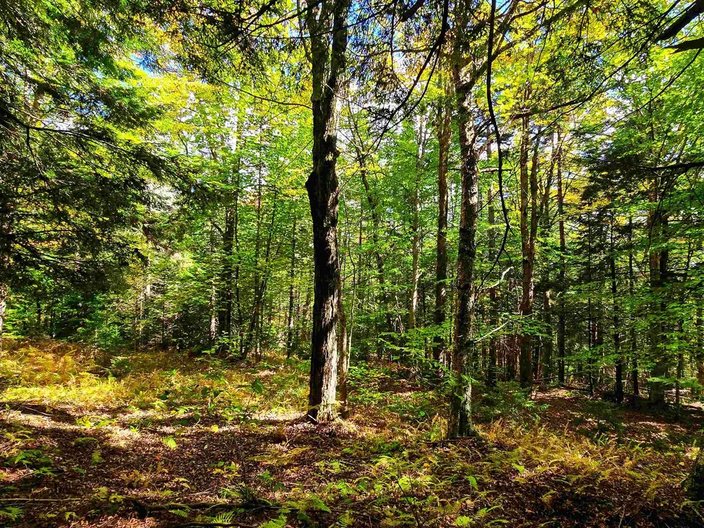 425 Symonds Mill Road Elmore VT 05680