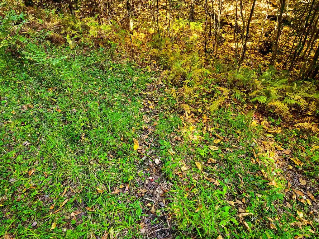 425 Symonds Mill Road Elmore VT 05680