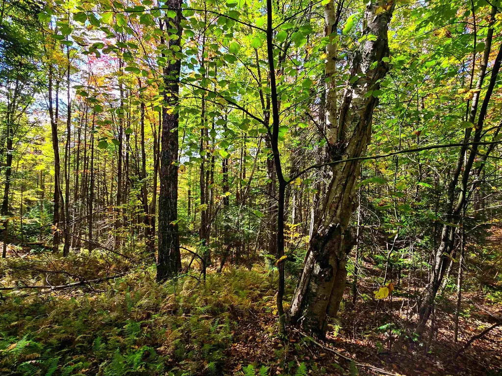 425 Symonds Mill Road Elmore VT 05680