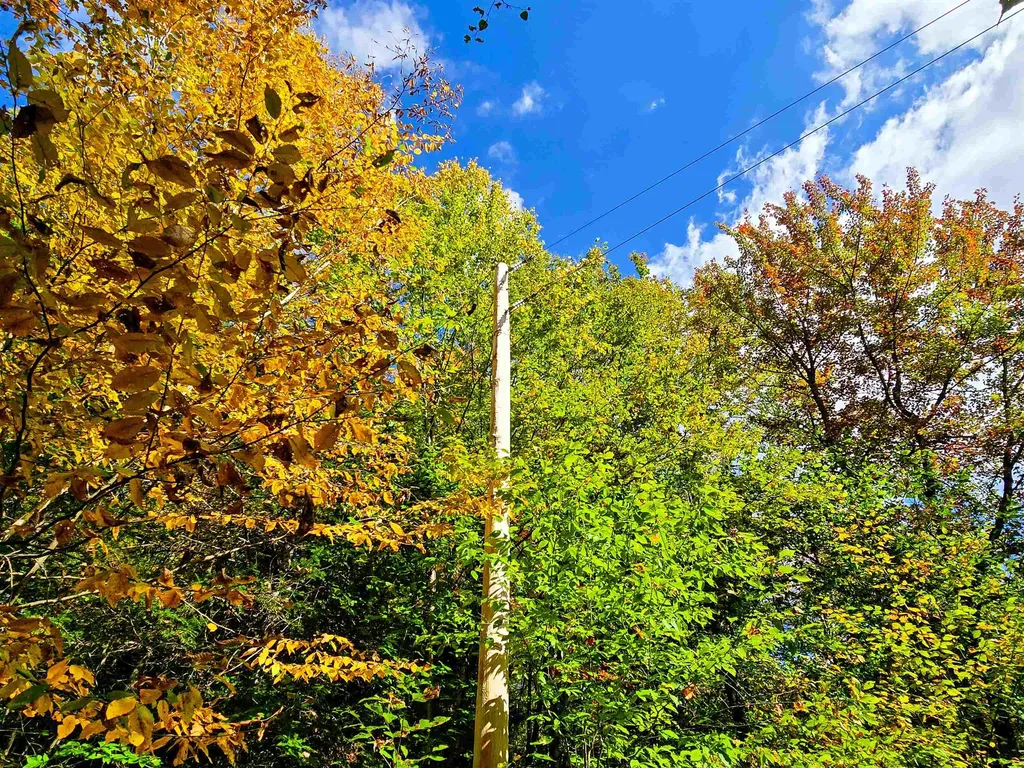 425 Symonds Mill Road Elmore VT 05680