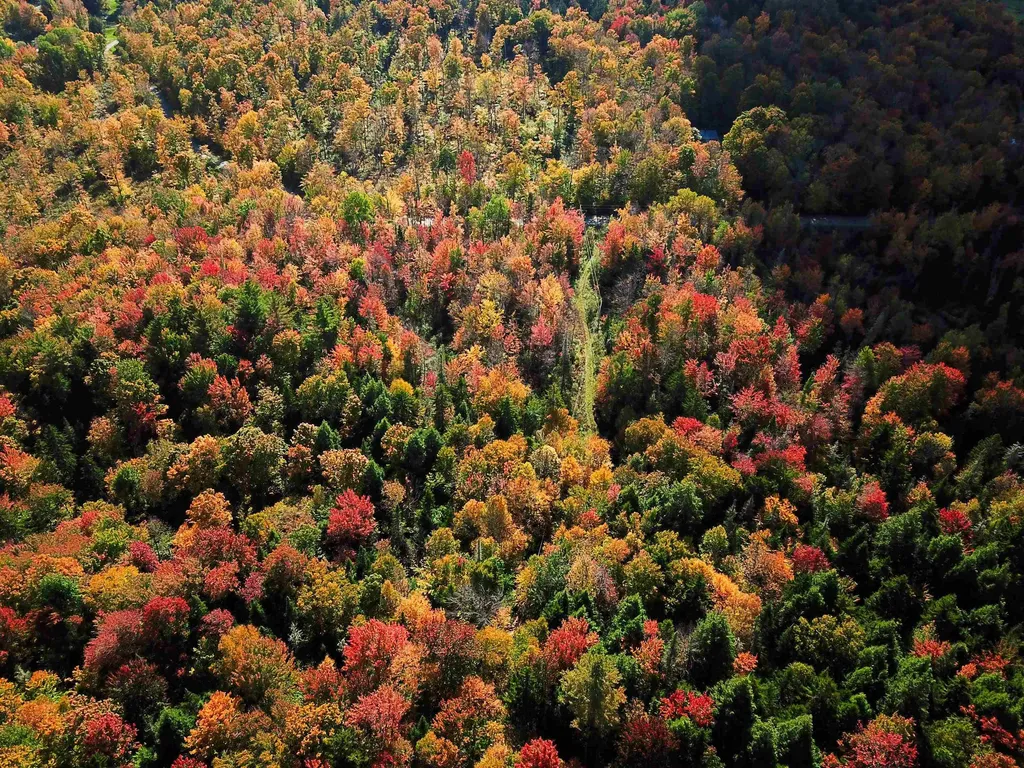 425 Symonds Mill Road Elmore VT 05680