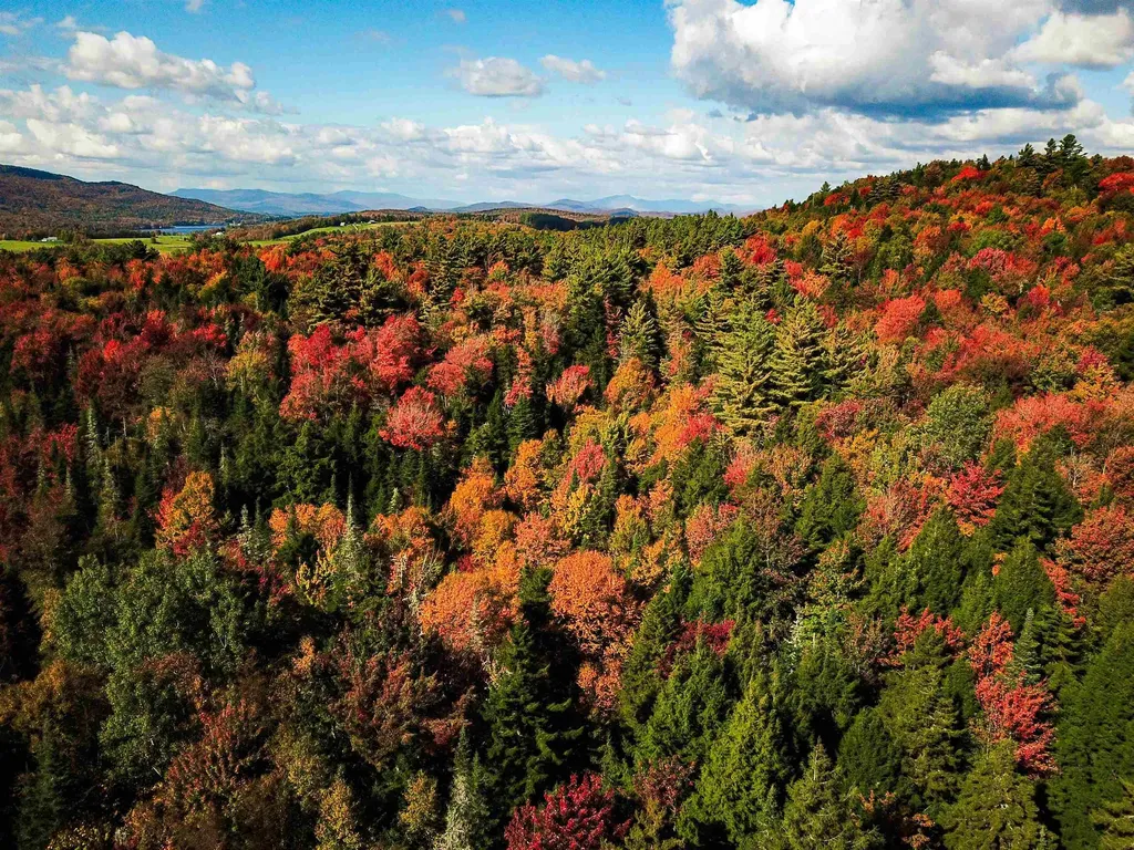 425 Symonds Mill Road Elmore VT 05680