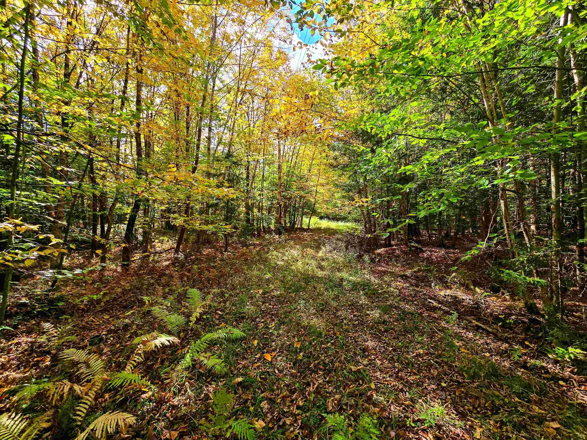 425 Symonds Mill Road Elmore VT 05680