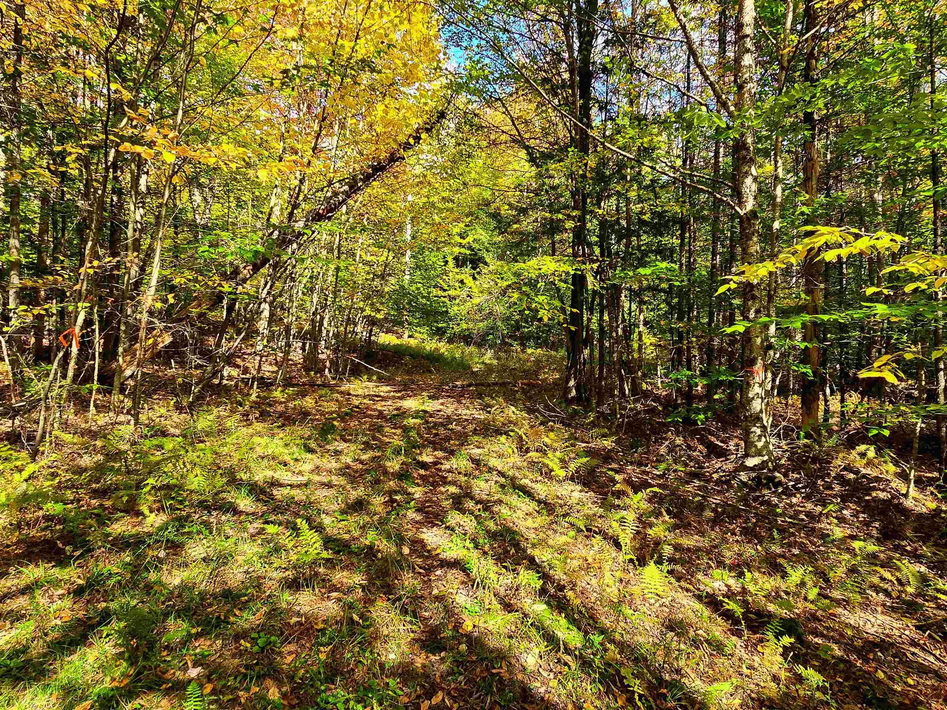 425 Symonds Mill Road Elmore VT 05680