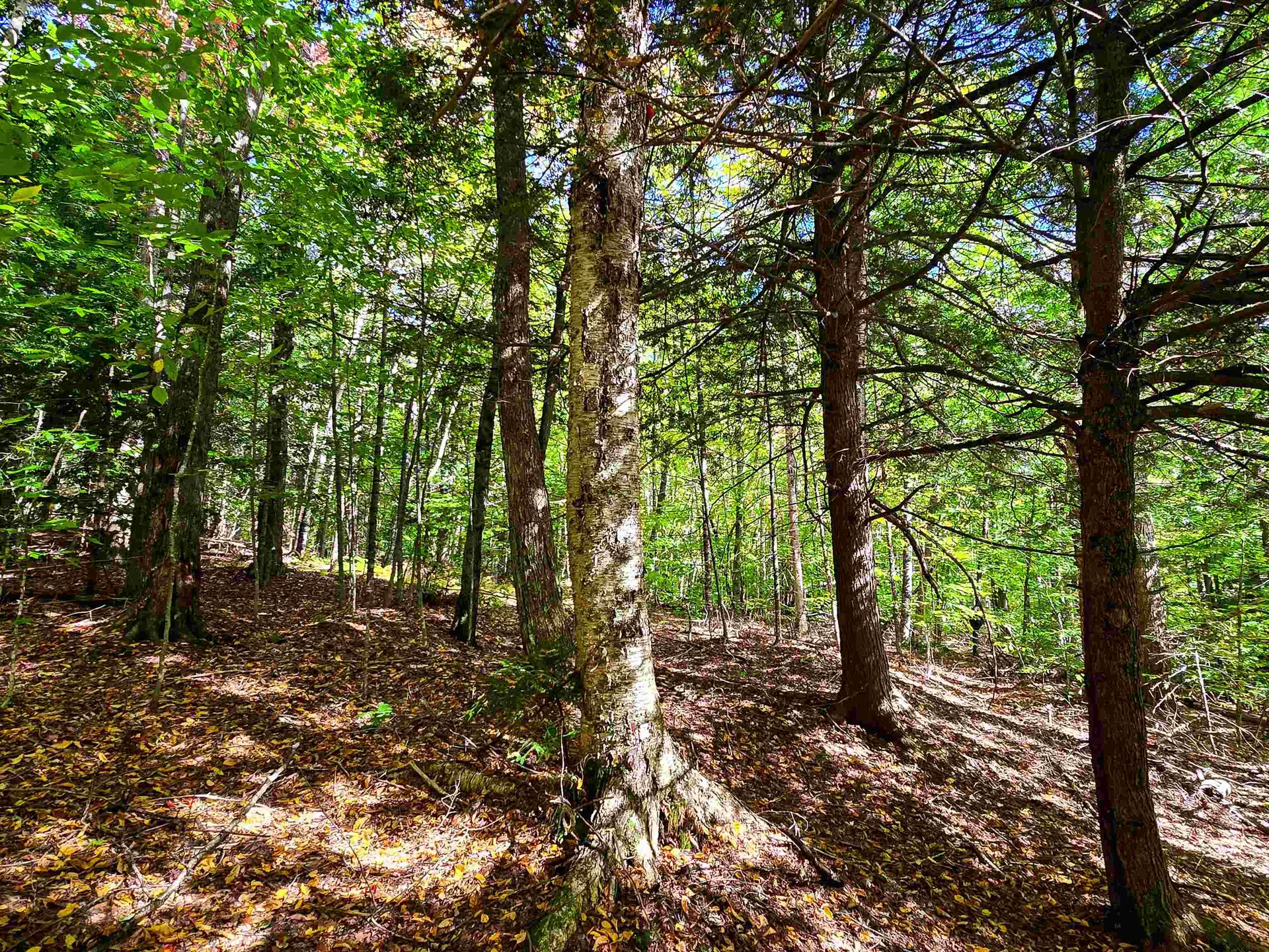 425 Symonds Mill Road Elmore VT 05680