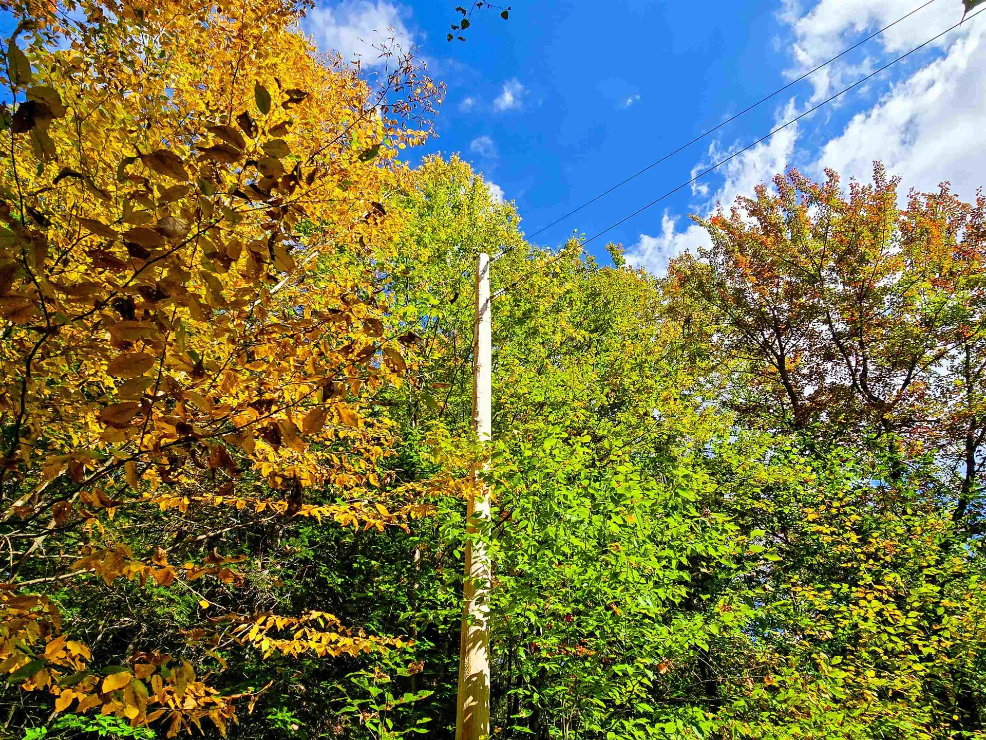 425 Symonds Mill Road Elmore VT 05680