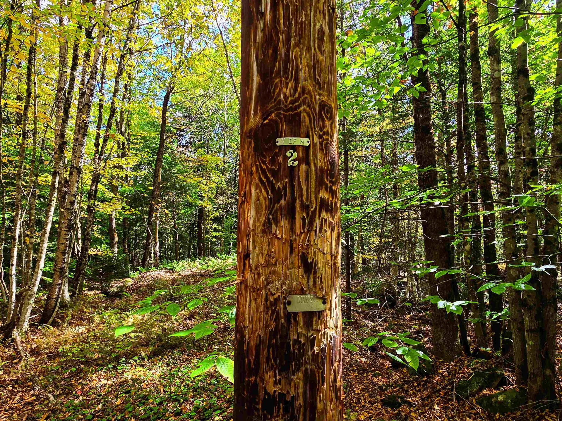 425 Symonds Mill Road Elmore VT 05680