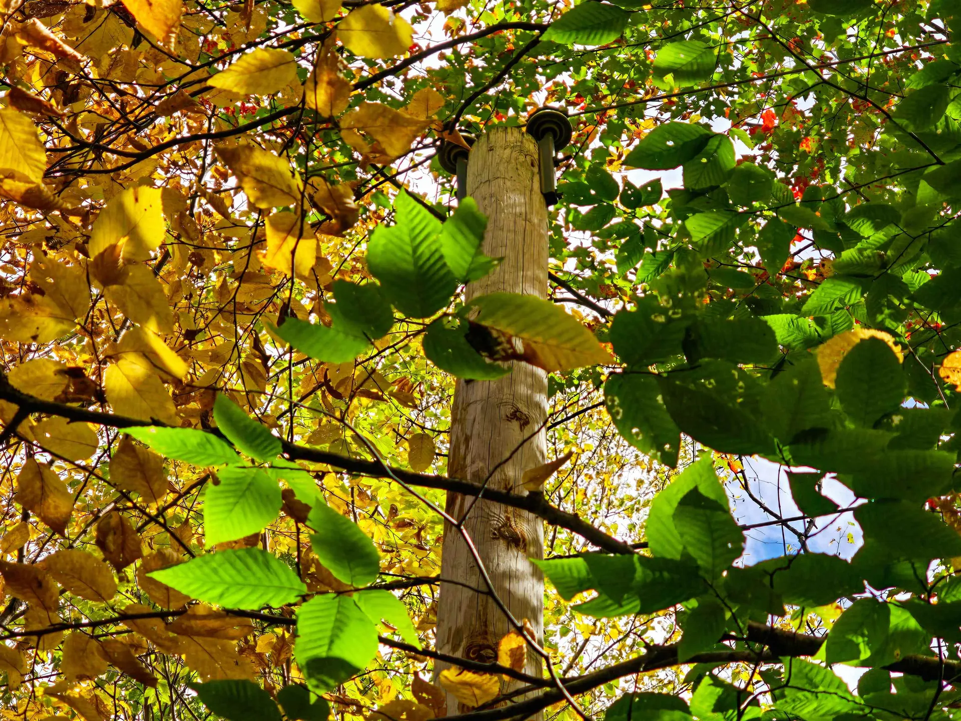 425 Symonds Mill Road Elmore VT 05680