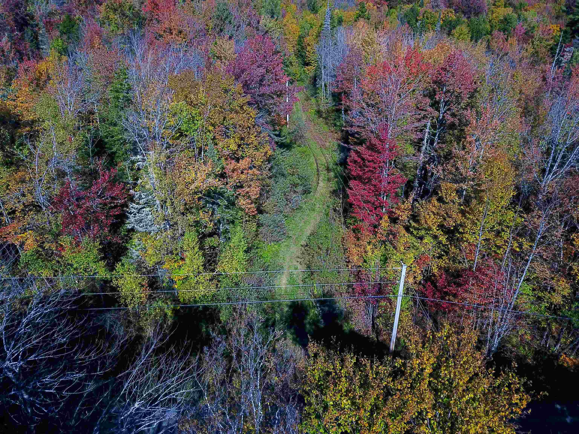 425 Symonds Mill Road Elmore VT 05680