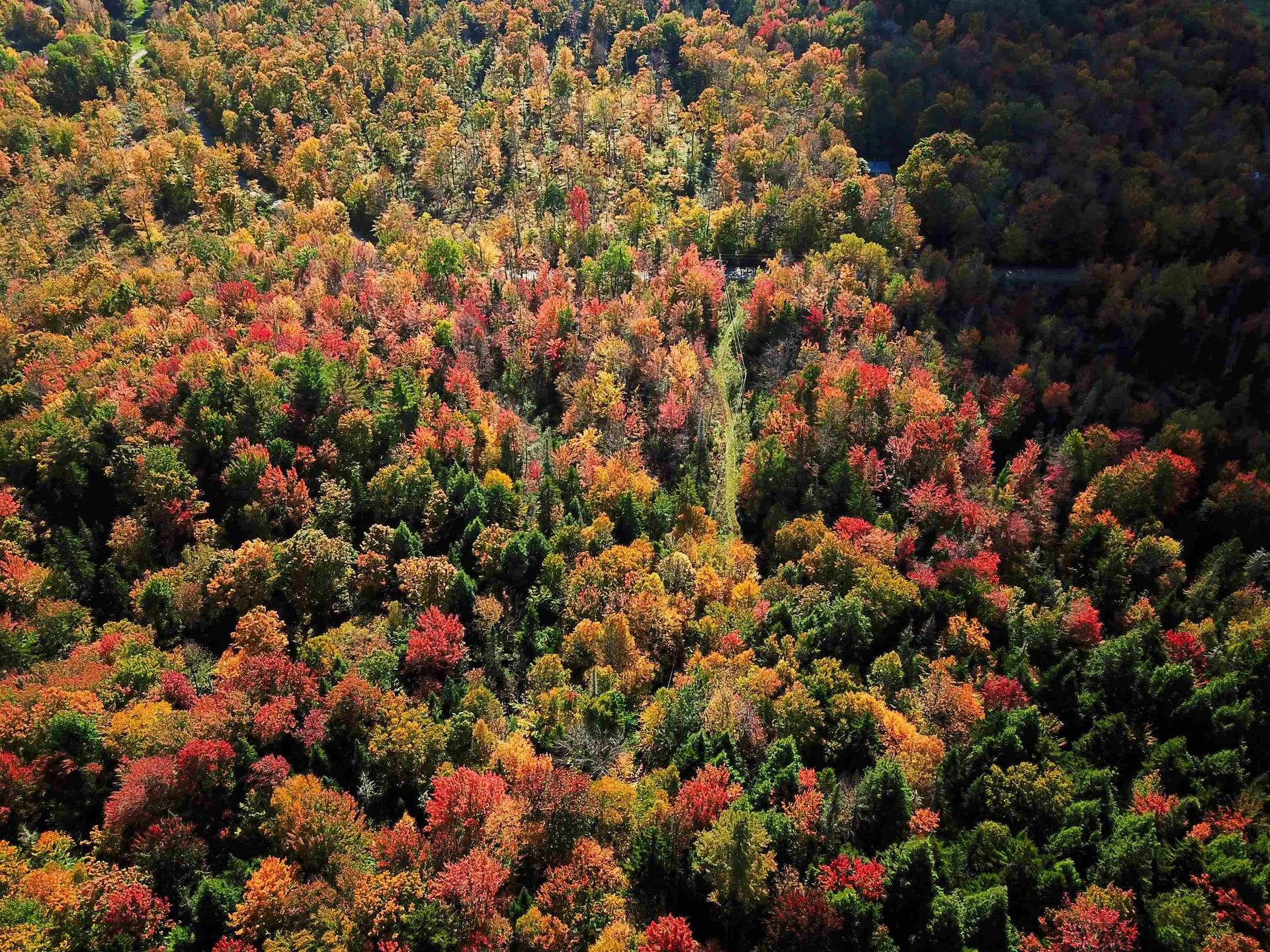 425 Symonds Mill Road Elmore VT 05680