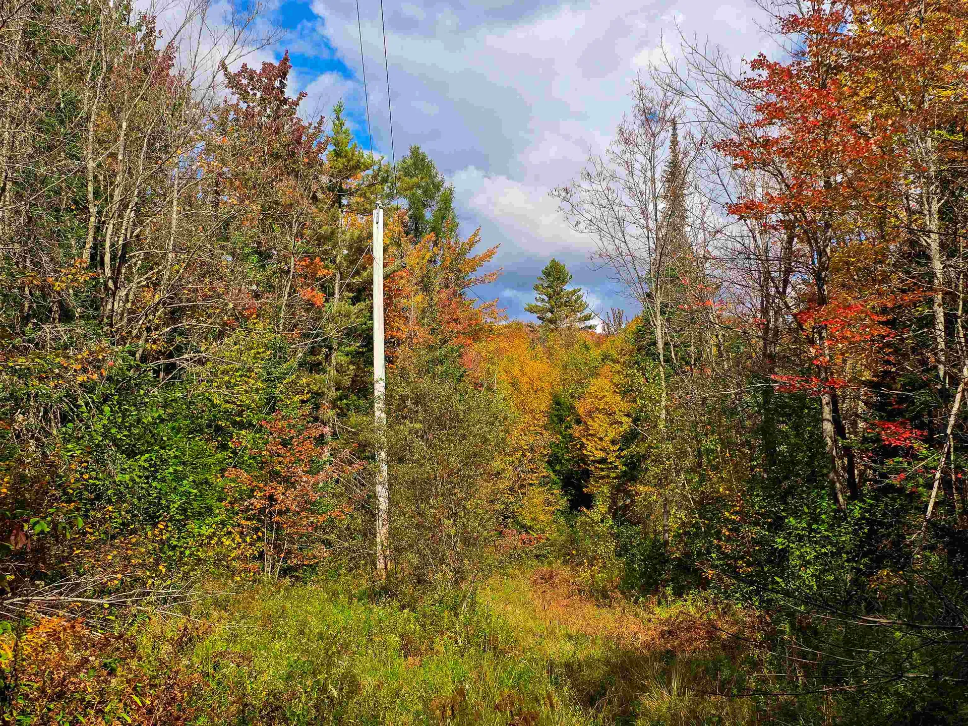 425 Symonds Mill Road Elmore VT 05680