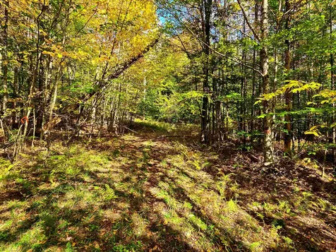 425 Symonds Mill Road Elmore VT 05680