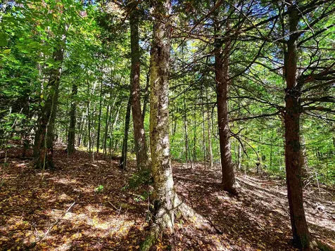 425 Symonds Mill Road Elmore VT 05680